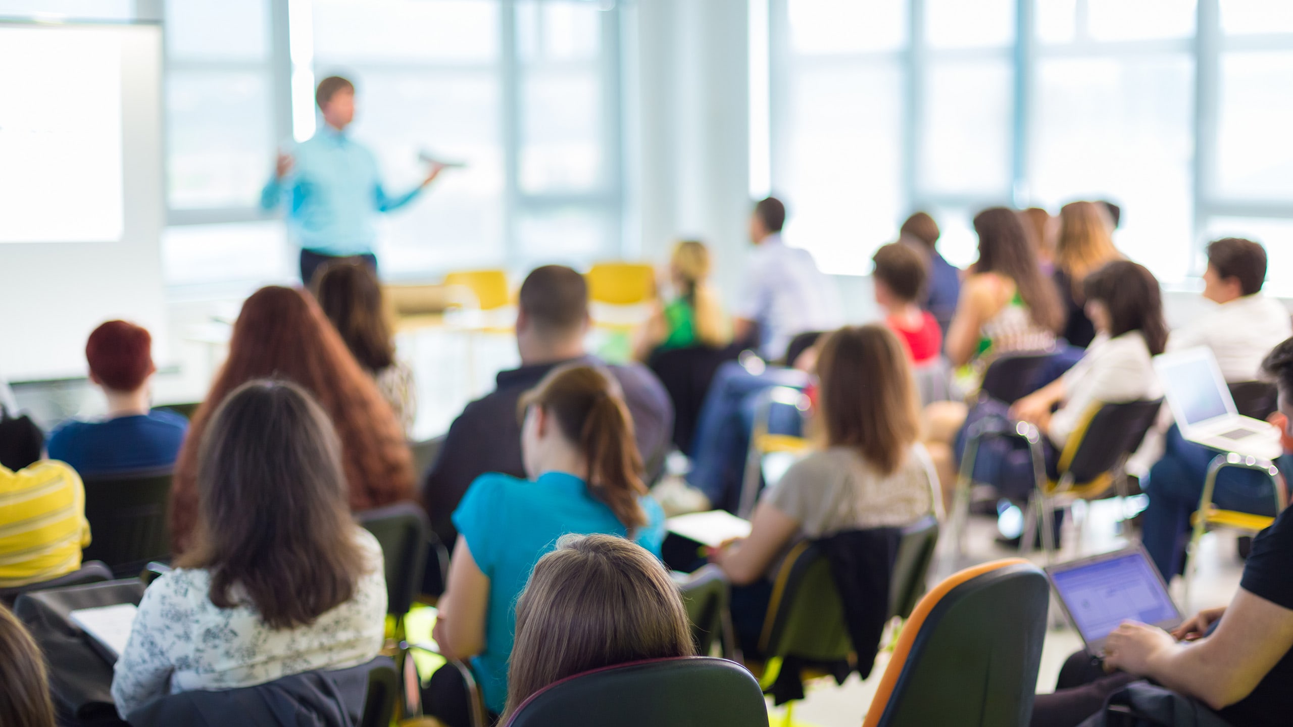 Educação infantil facil: 2019  Gato xadrez, Bingo de palavras