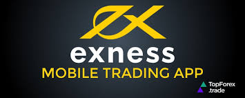 Unlock Your Trading Potential with Exness Educational Resources 2