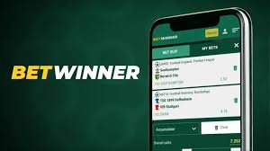 Understanding BetWinner Bets A Comprehensive Guide -625675421